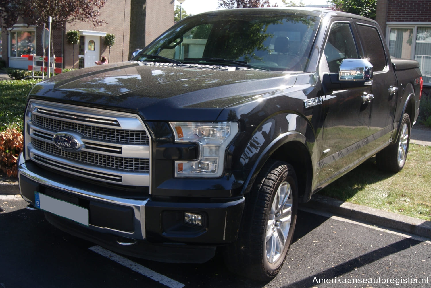 Ford F Series uit 2015